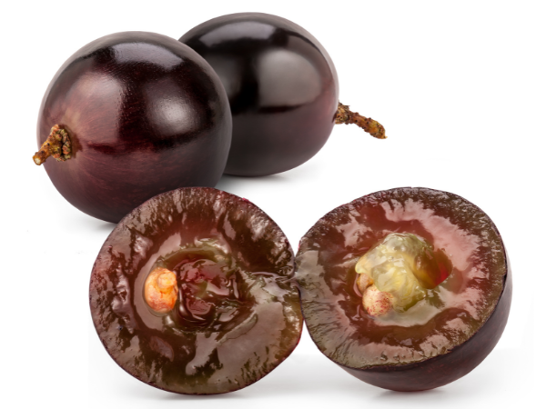 red grapes pictured both whole and cut in half to show pulp and seed
